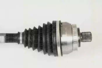triscan-854029612