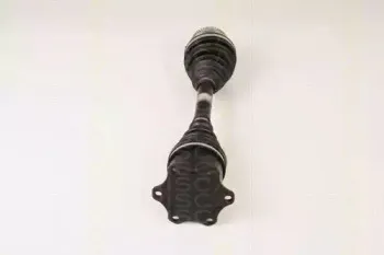 triscan-854029612