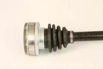 triscan-854029613