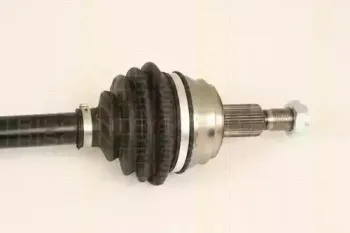 triscan-854029613