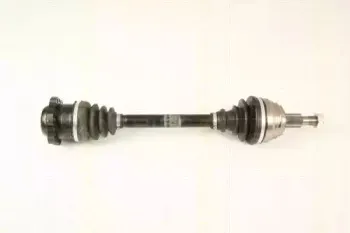 triscan-854029617