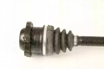 triscan-854029617