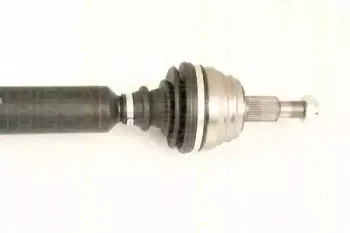 triscan-854029618