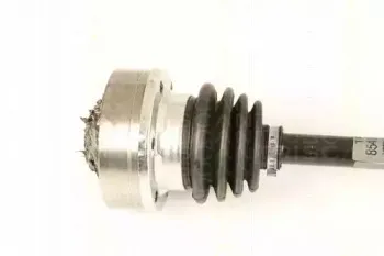 triscan-854029619