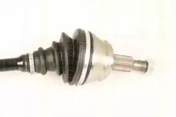 triscan-854029619