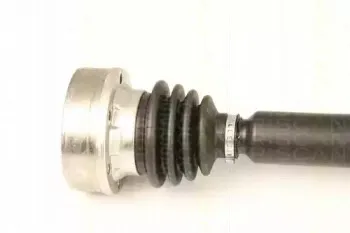 triscan-854029620