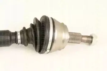 triscan-854029620