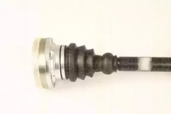 triscan-854029621