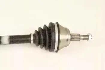 triscan-854029621