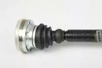 triscan-854029622
