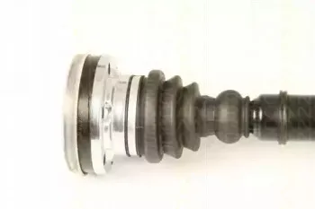 triscan-854029623