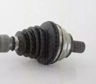 triscan-854029630