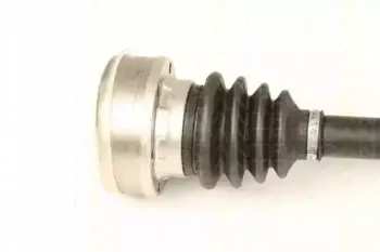triscan-854029635