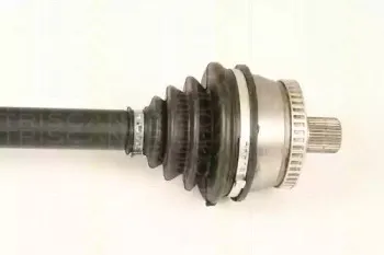 triscan-854029635