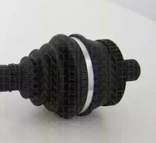 triscan-854029637