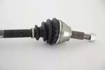 triscan-854029637