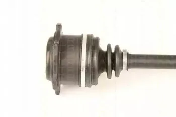 triscan-854029639