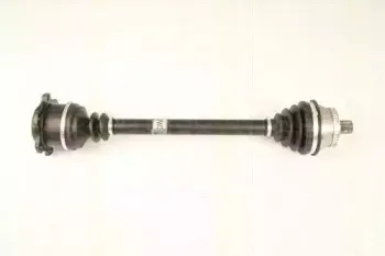triscan-854029641