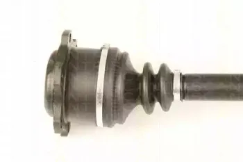 triscan-854029641