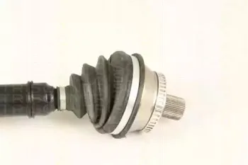 triscan-854029643