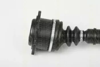 triscan-854029644
