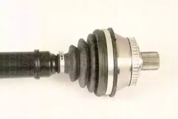 triscan-854029645