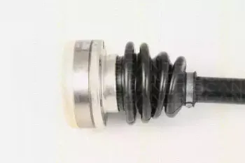 triscan-854029647