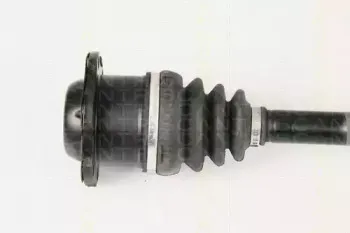 triscan-854029649