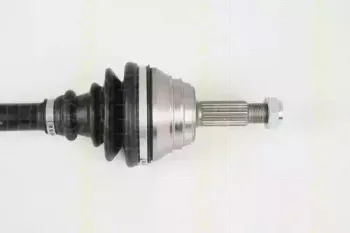 triscan-854029649