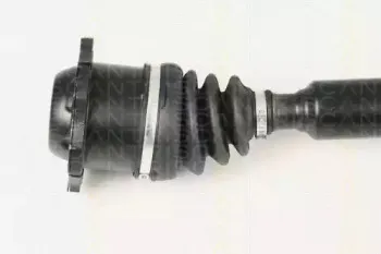 triscan-854029650