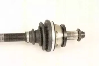 triscan-854029653