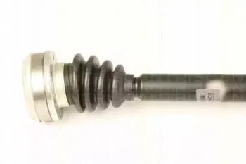 triscan-854029654
