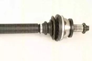 triscan-854029654
