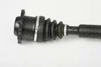 triscan-854029656