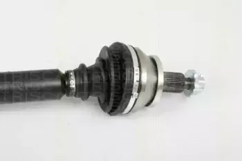 triscan-854029656