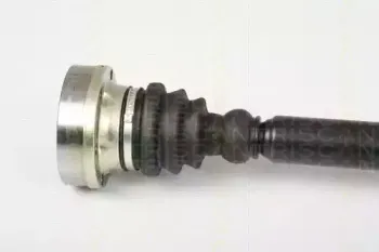 triscan-854029660