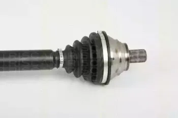 triscan-854029660