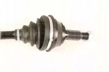 triscan-854029663