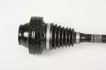 triscan-854029664
