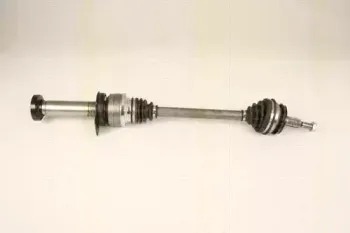 triscan-854029666