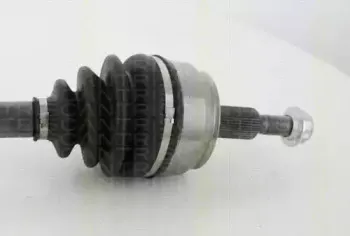 triscan-854029667