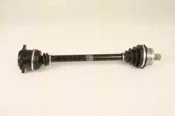 triscan-854029670