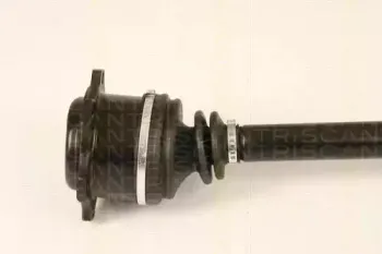 triscan-854029670