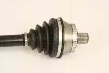 triscan-854029670