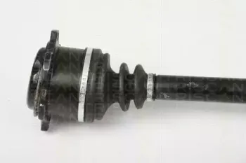 triscan-854029671