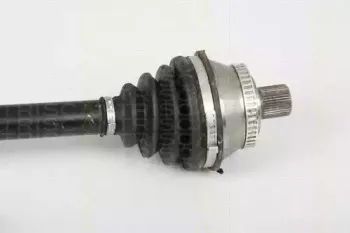 triscan-854029671