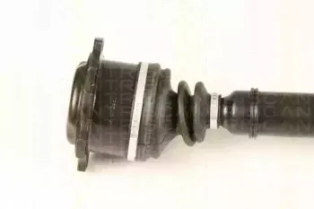 triscan-854029672