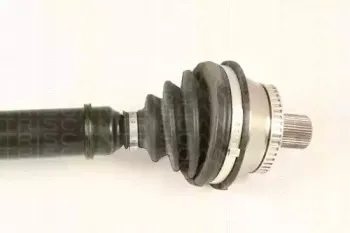 triscan-854029672