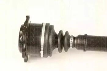 triscan-854029673