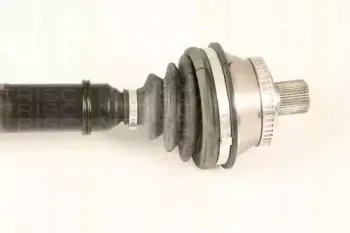 triscan-854029673